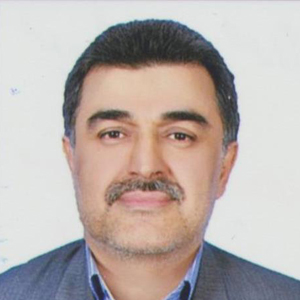 سید مهدی مهدوی